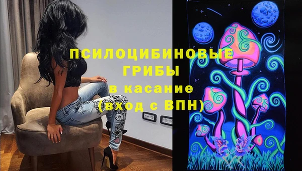 apvp Алексин
