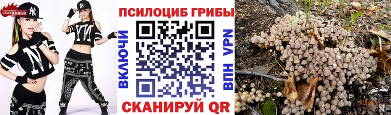 Псилоцибиновые грибы MAGIC MUSHROOMS  Циолковский 