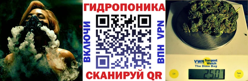 Бошки марихуана White Widow  наркошоп  Циолковский 